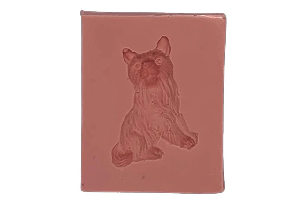 Dog D27 - Carolines